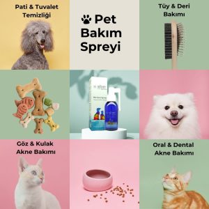 SilverBiotics Hayvan Göz Kulak Ağız Bakım Spreyi 100ml - Görsel 3