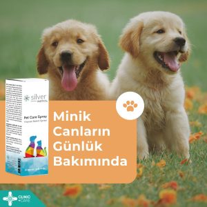 SilverBiotics Hayvan Göz Kulak Ağız Bakım Spreyi 100ml - Görsel 4